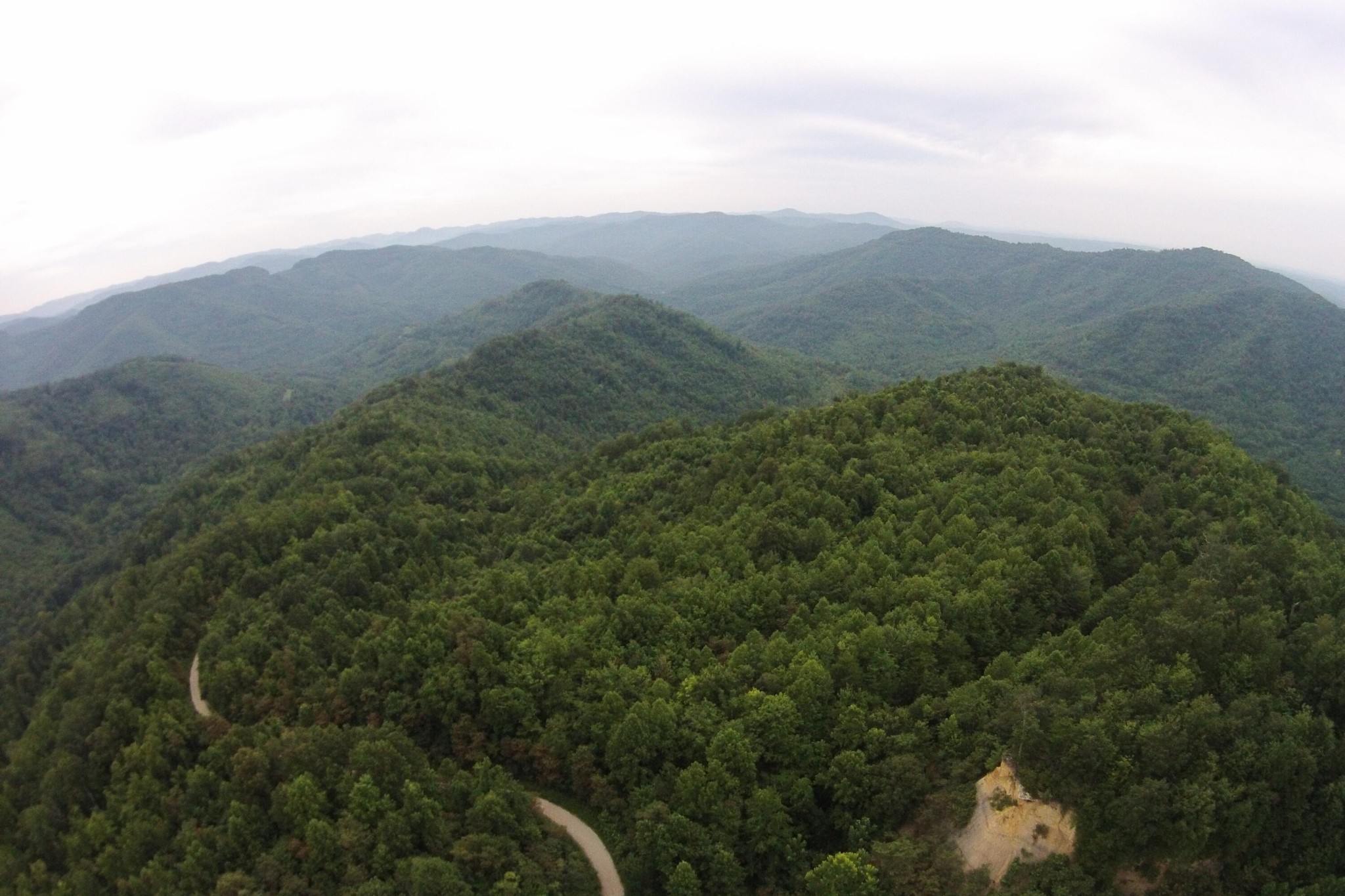 1 Straight Fork Road Huntsville, TN 37756 - Photo 19 of 25 a view of a mountain range with lush green forest