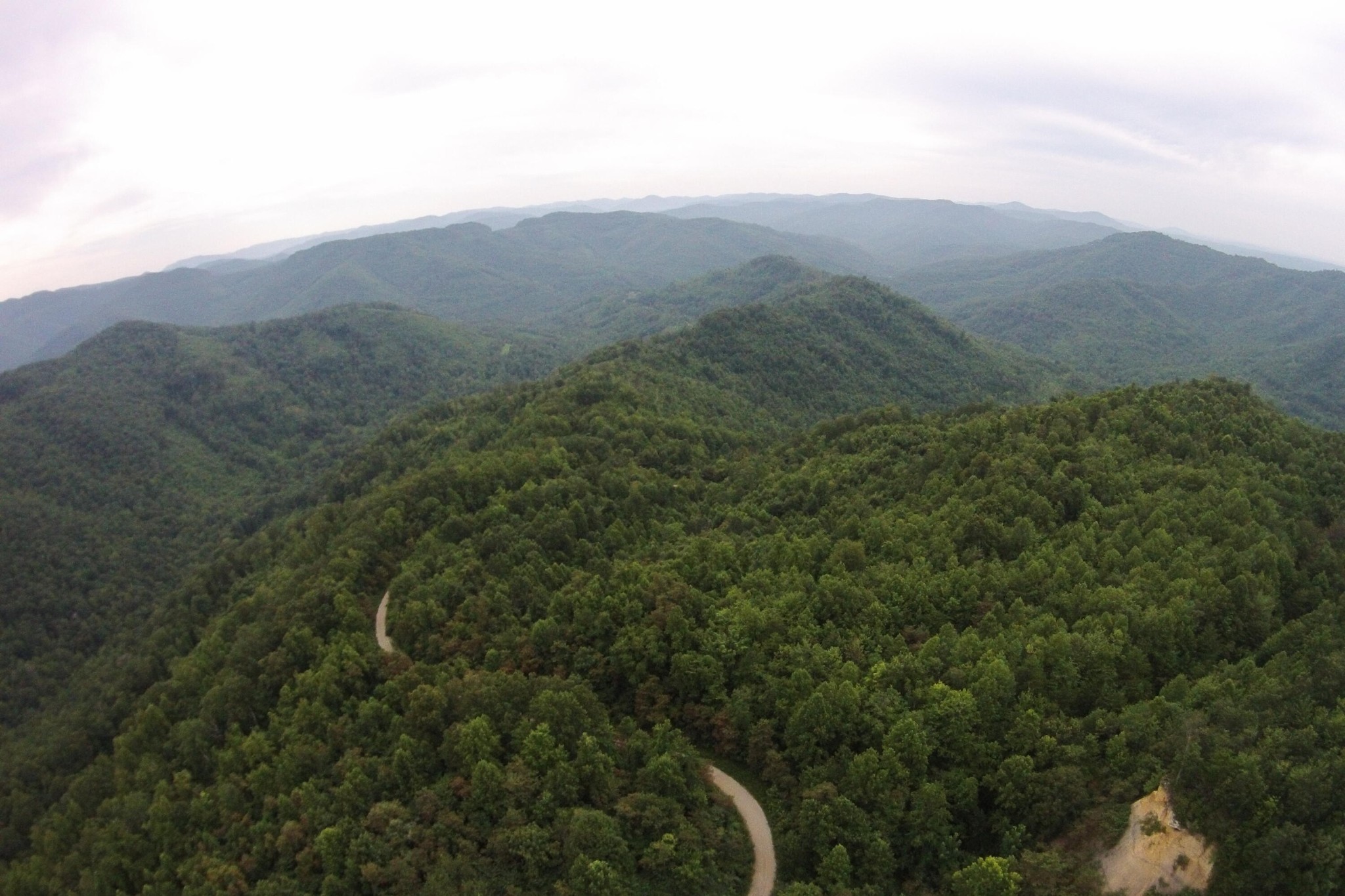 1 Straight Fork Road Huntsville, TN 37756 - Photo 20 of 25 a view of a mountain range with lush green forest