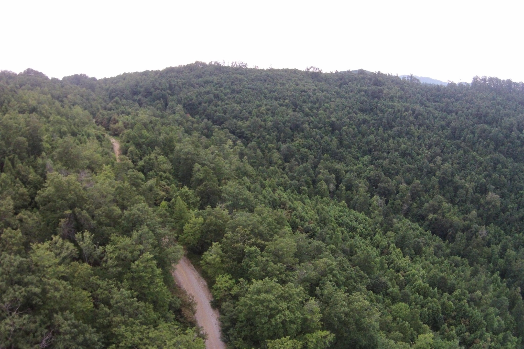 1 Straight Fork Road Huntsville, TN 37756 - Photo 2 of 25 a view of a city with lush green forest