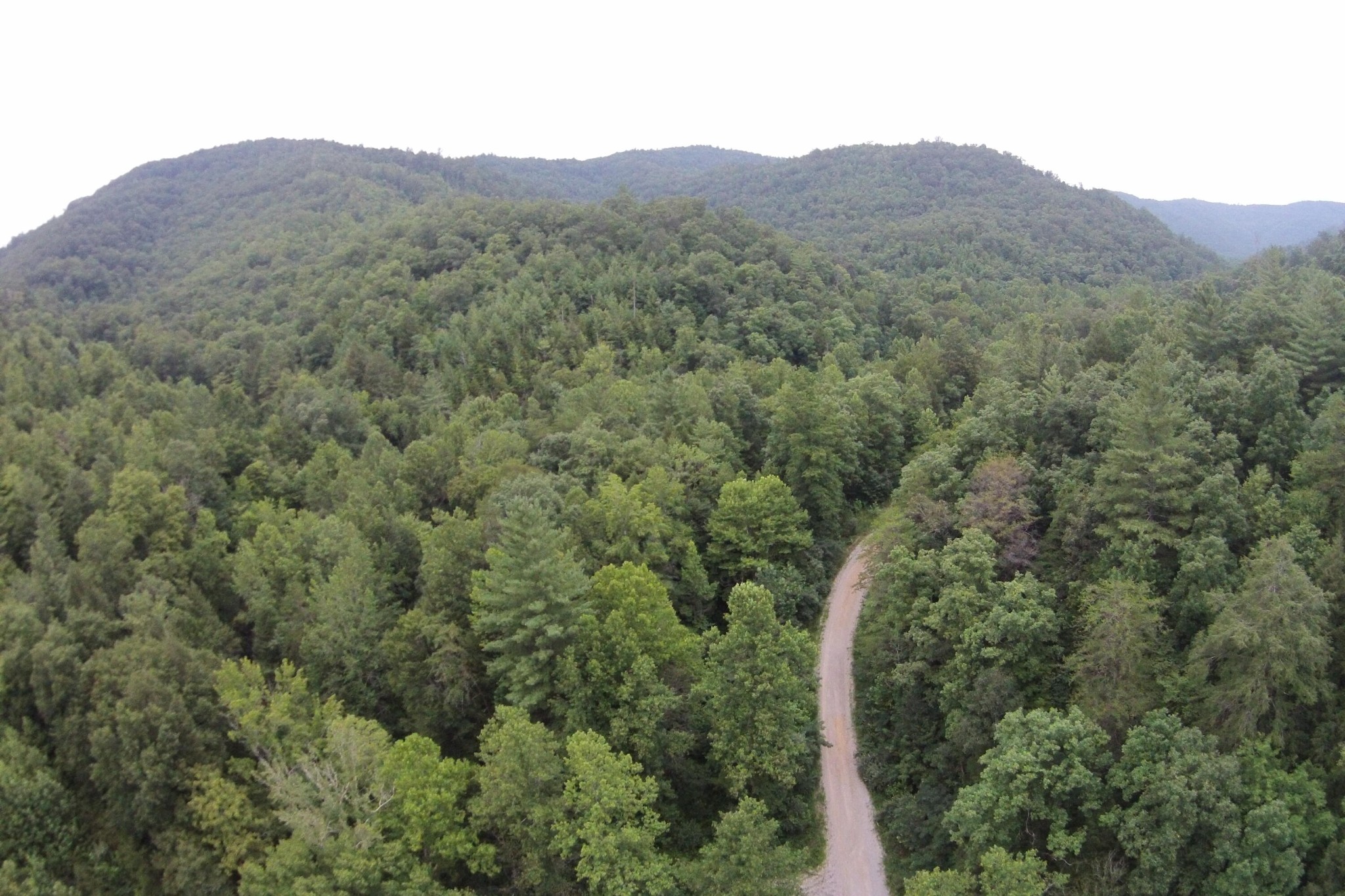 1 Straight Fork Road Huntsville, TN 37756 - Photo 21 of 25 a view of a mountain in the distance in a field