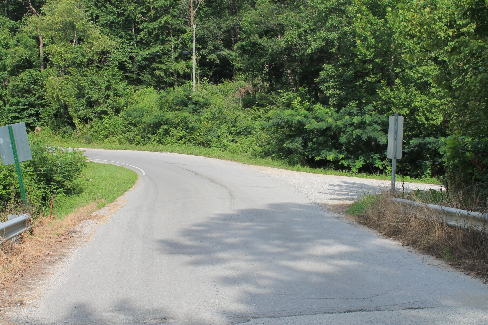 1 Straight Fork Road Huntsville, TN 37756 - Photo 22 of 25 a view of a pathway both side of yard