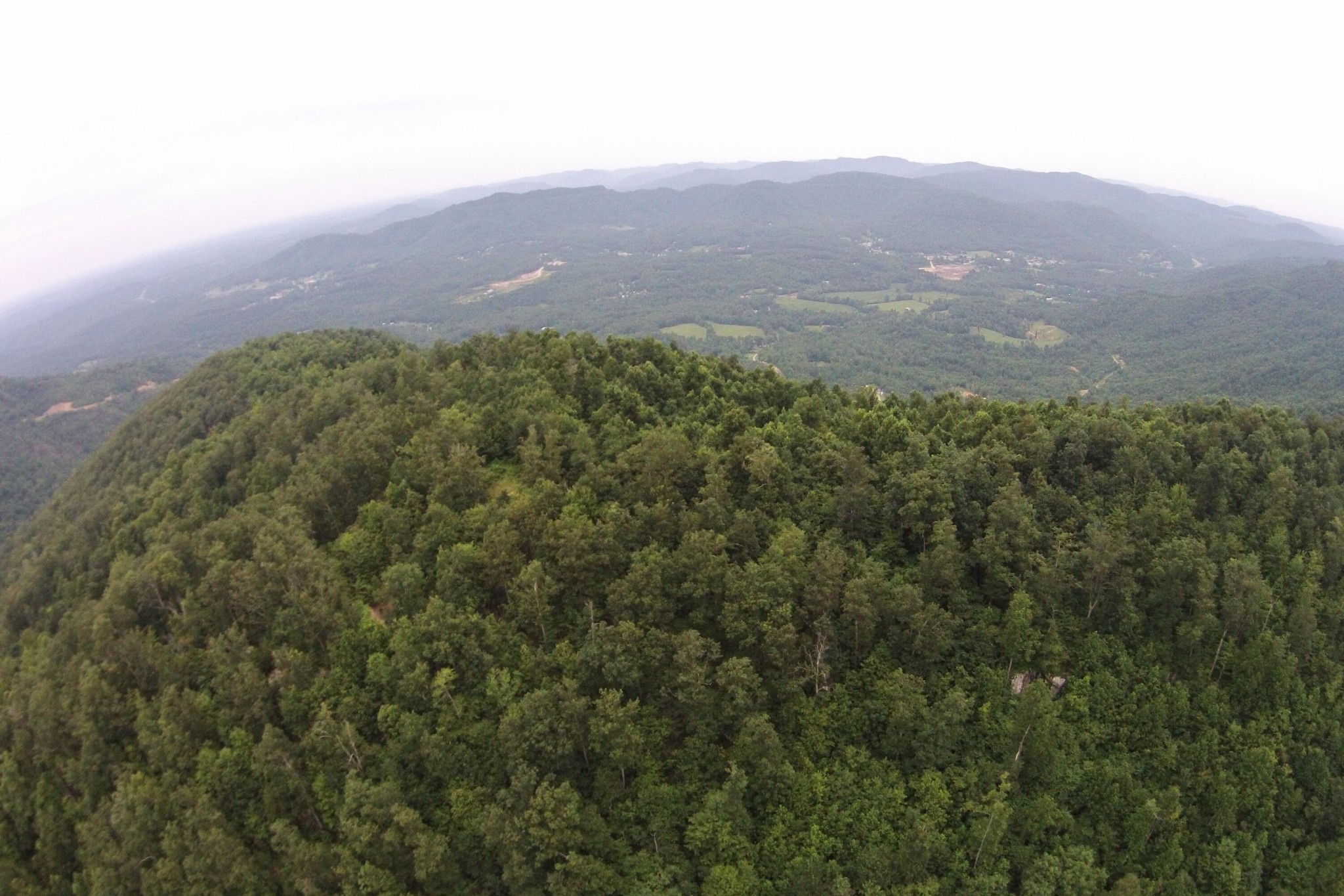 1 Straight Fork Road Huntsville, TN 37756 - Photo 24 of 25 a view of a big yard with mountains in the background