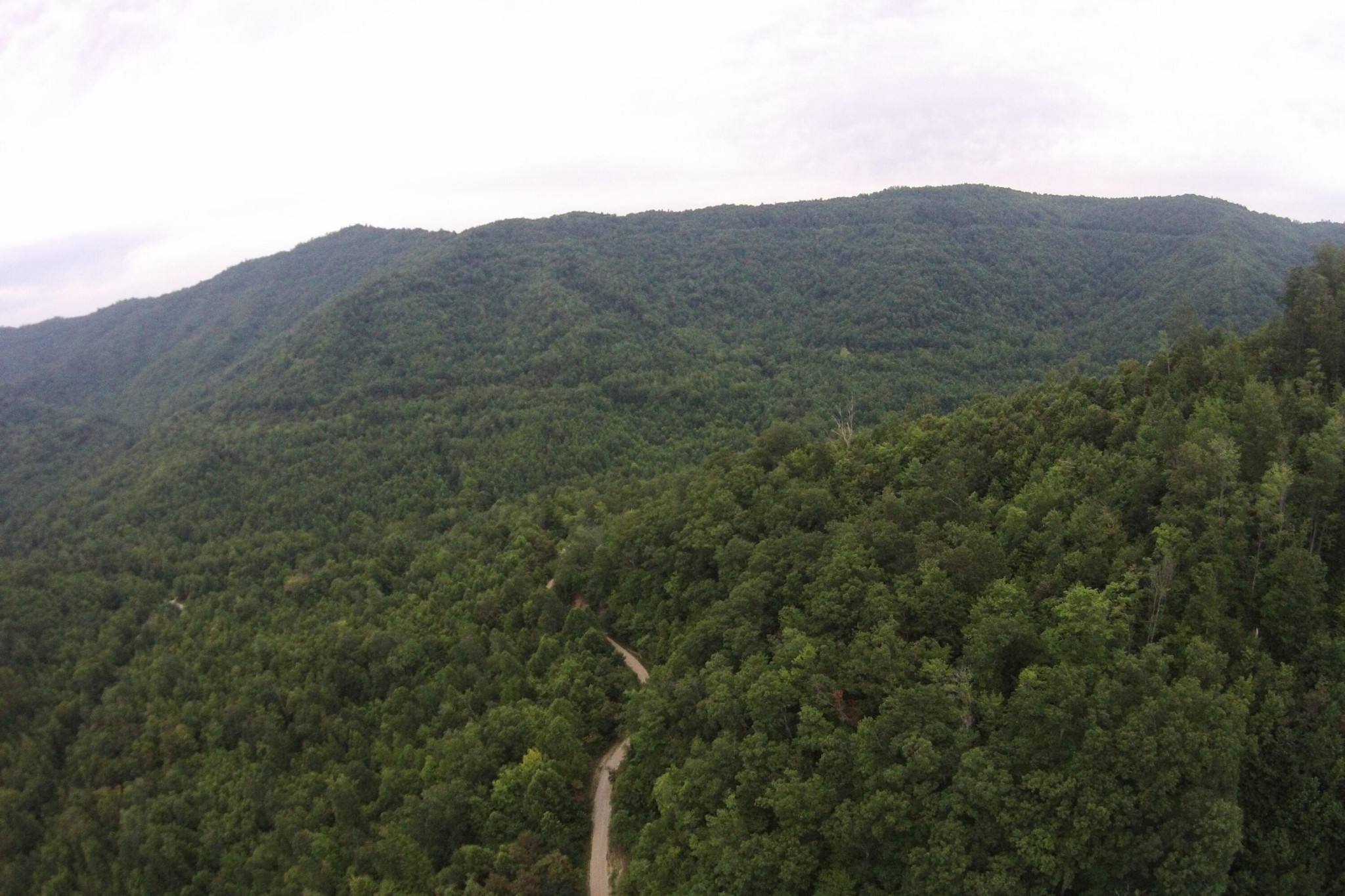 1 Straight Fork Road Huntsville, TN 37756 - Photo 5 of 25 a view of a mountain range with trees in the background