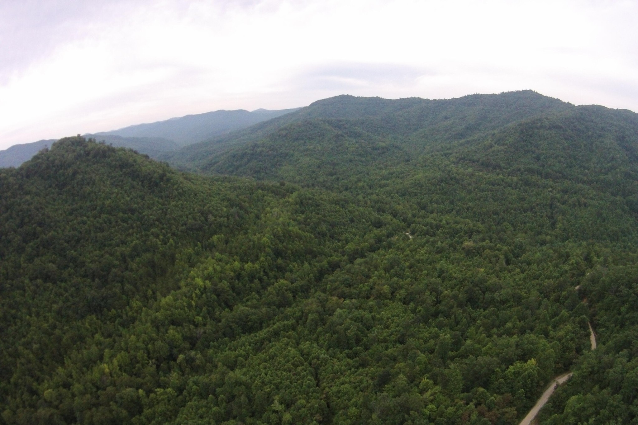 1 Straight Fork Road Huntsville, TN 37756 - Photo 6 of 25 a view of a mountain range with trees in the background