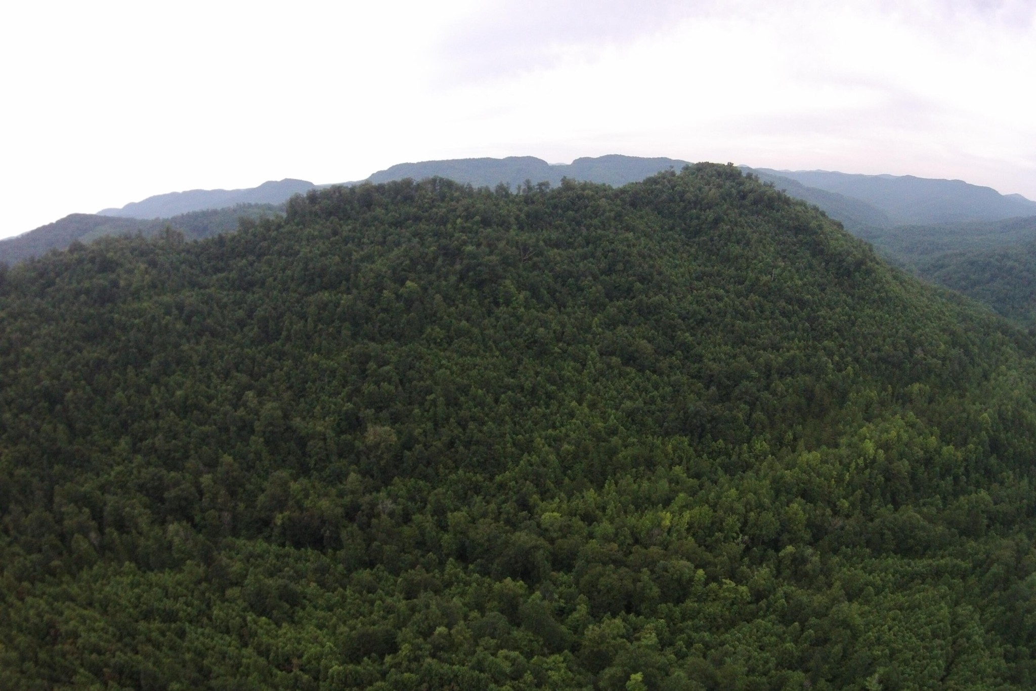 1 Straight Fork Road Huntsville, TN 37756 - Photo 7 of 25 a view of a mountain in the distance in a field