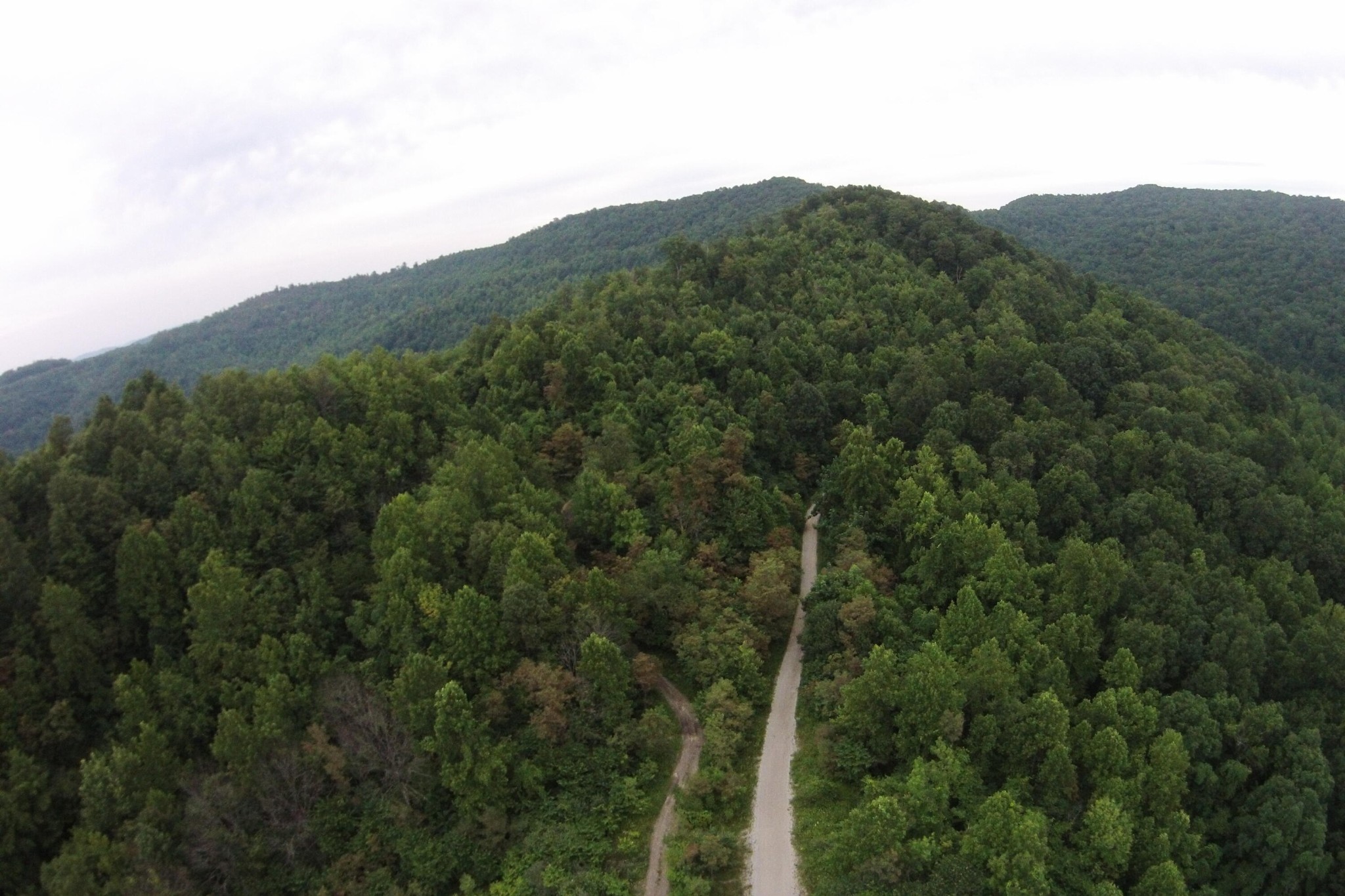 1 Straight Fork Road Huntsville, TN 37756 - Photo 10 of 25 a view of a mountain range with trees in the background