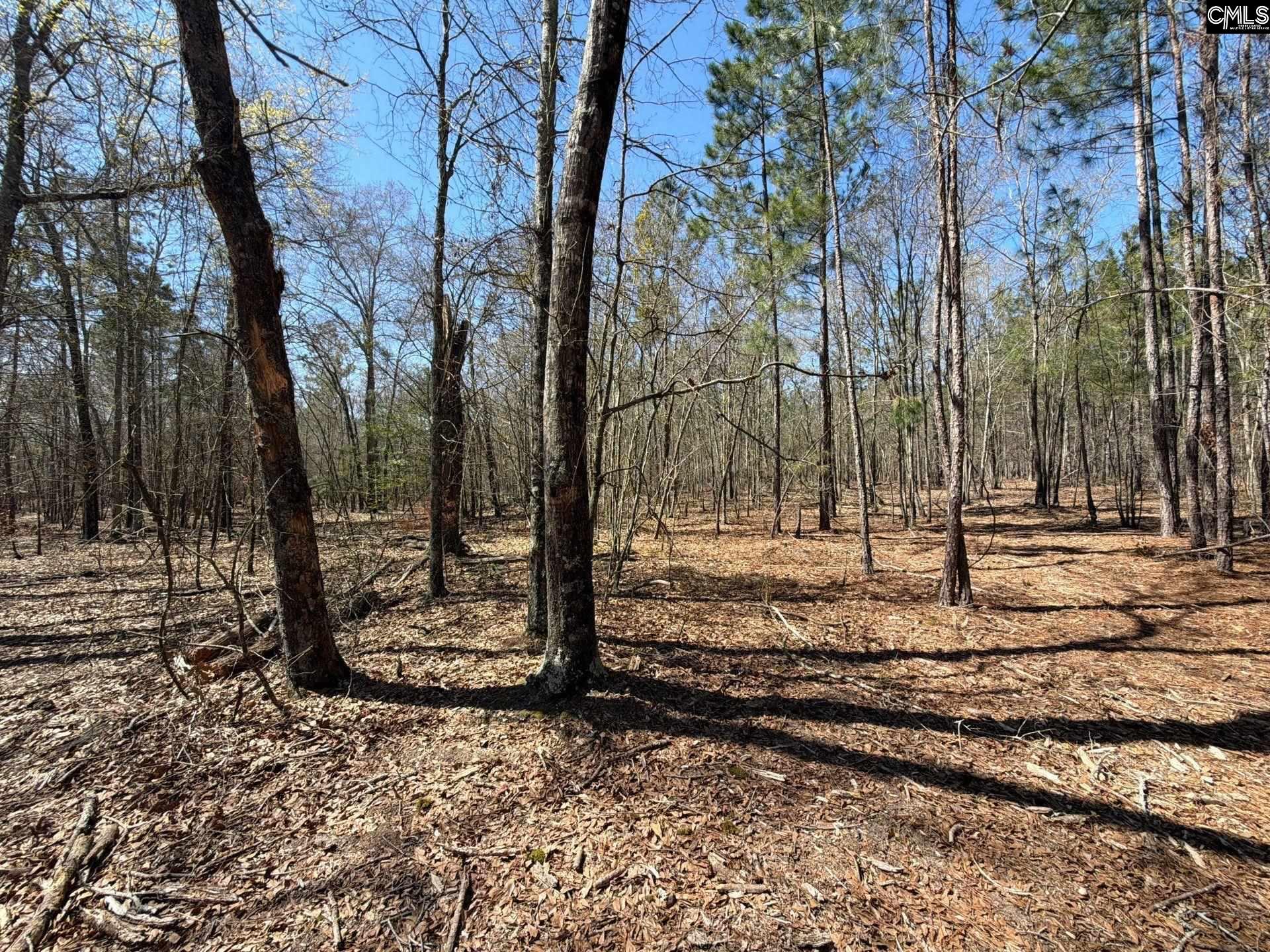 9 Boise Cascade Road, Unit BHL 9 Bethune, SC 29009 - Photo 23 of 44