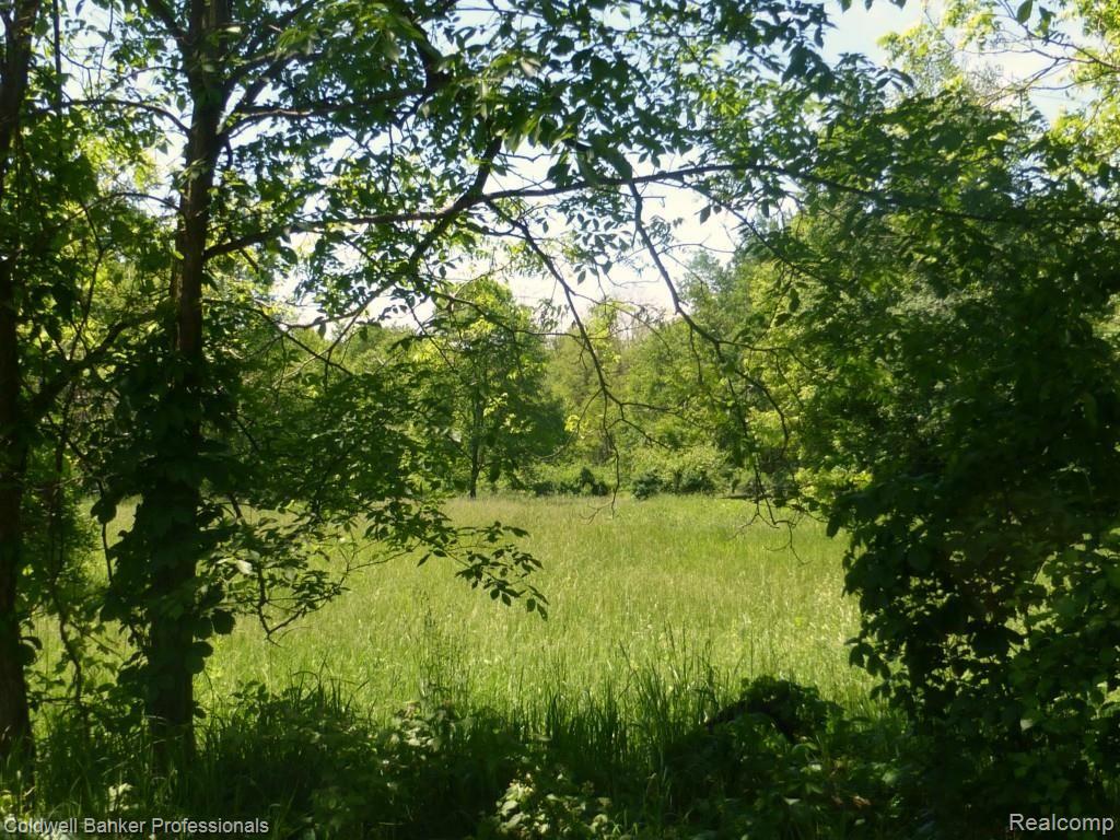 Vacant Clement Road Clarkston, MI 48346 - Photo 1 of 10