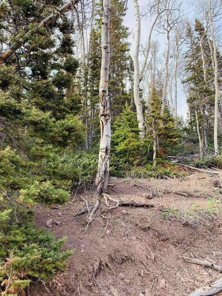 West Village Beaver, UT 84713 - Photo 25 of 27 20210514104007828959000000-o