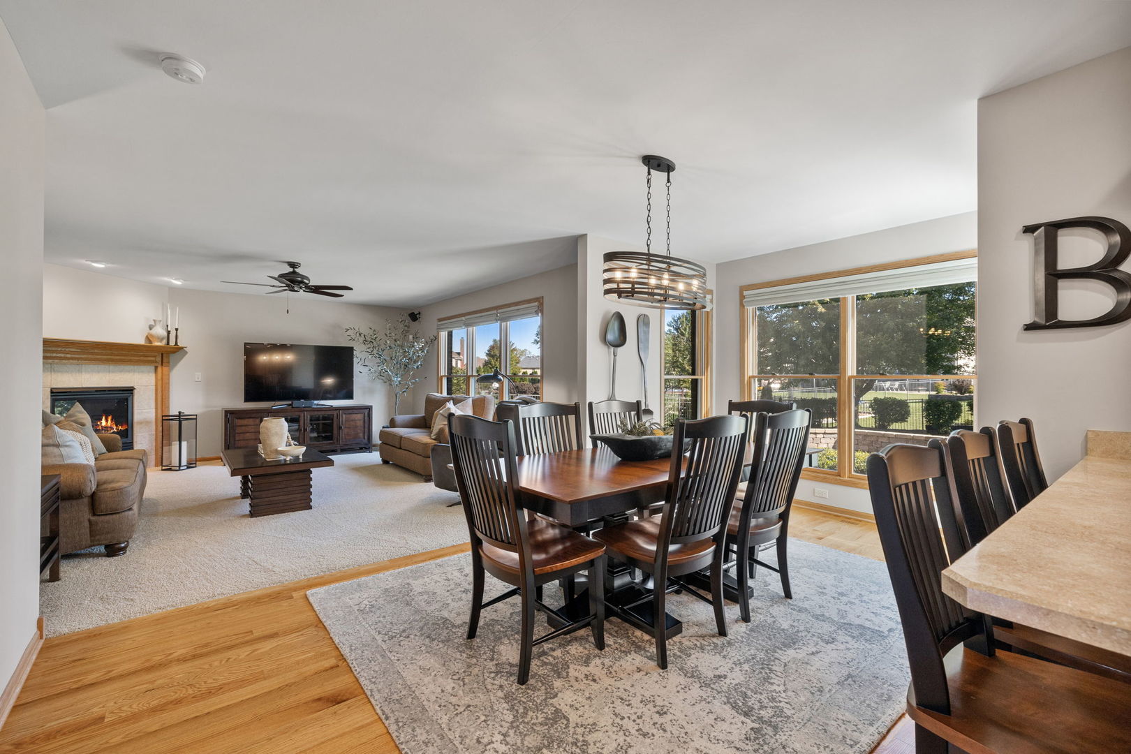 2948 Star Pass New Lenox, IL 60451 - Photo 11 of 42