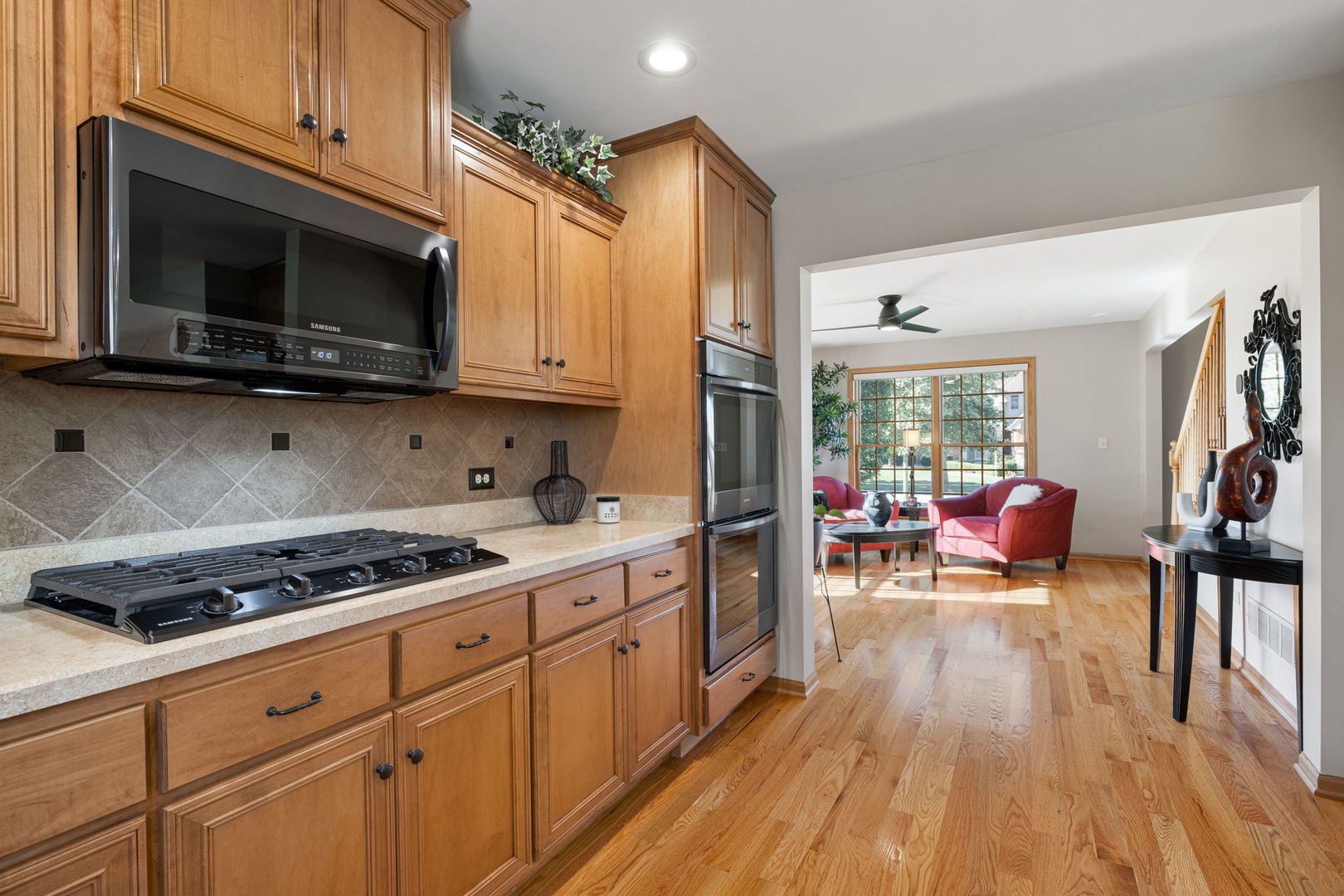 2948 Star Pass New Lenox, IL 60451 - Photo 14 of 42