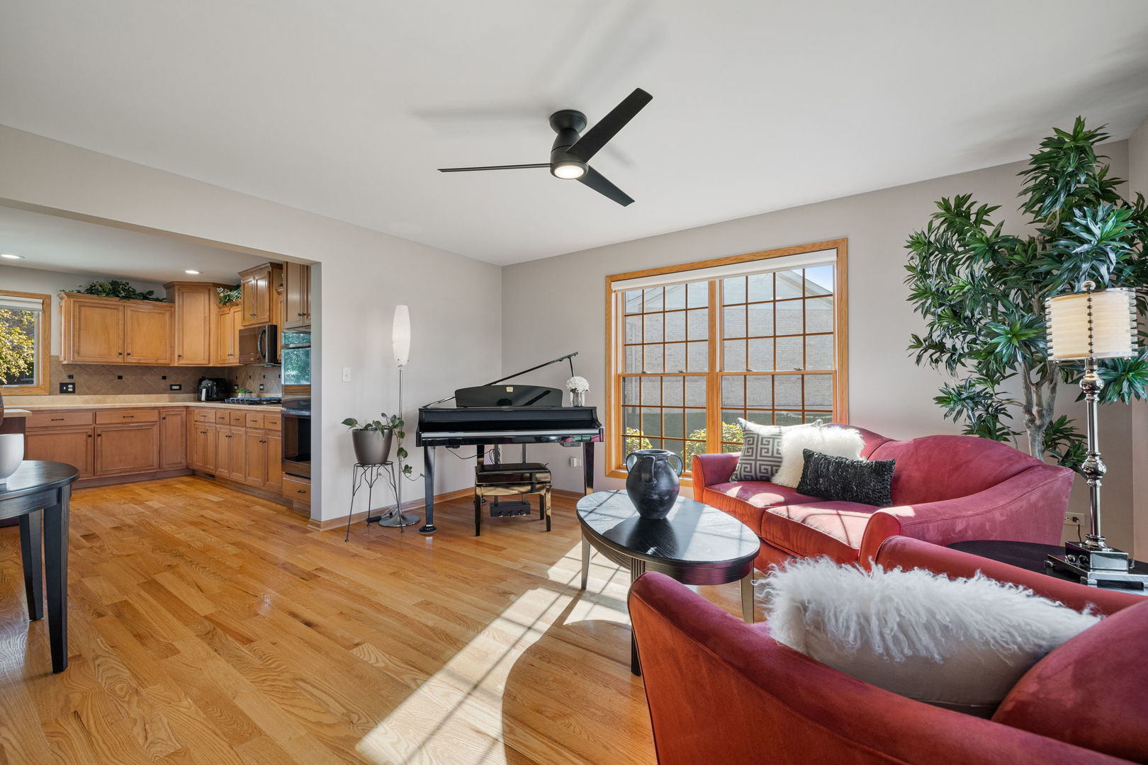 2948 Star Pass New Lenox, IL 60451 - Photo 4 of 42