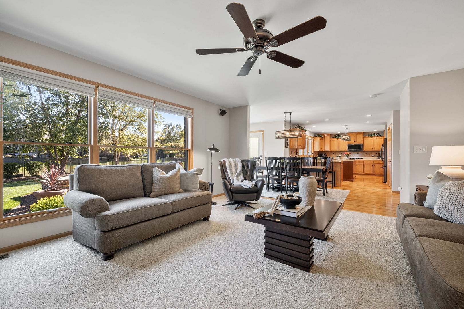 2948 Star Pass New Lenox, IL 60451 - Photo 9 of 42