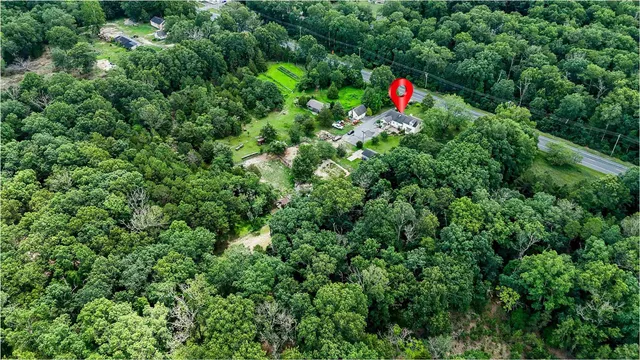 a close up view of red and white plants