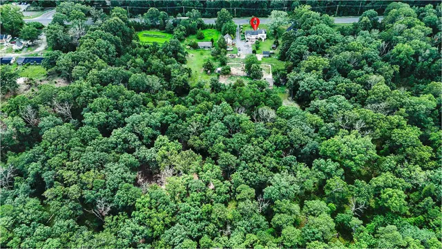 a view of a lush green forest with lots of trees