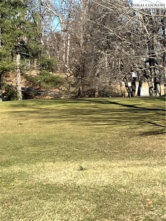 a view of a back yard