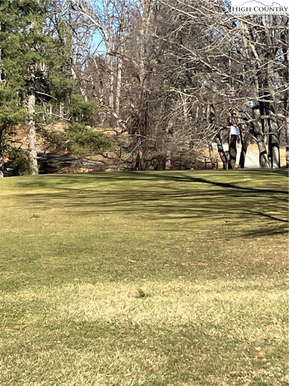 Buckeye Ridge Sparta, NC 28675 - Photo 4 of 10