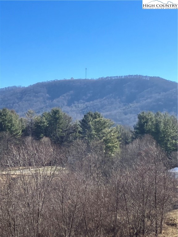 Buckeye Ridge Sparta, NC 28675 - Photo 5 of 10