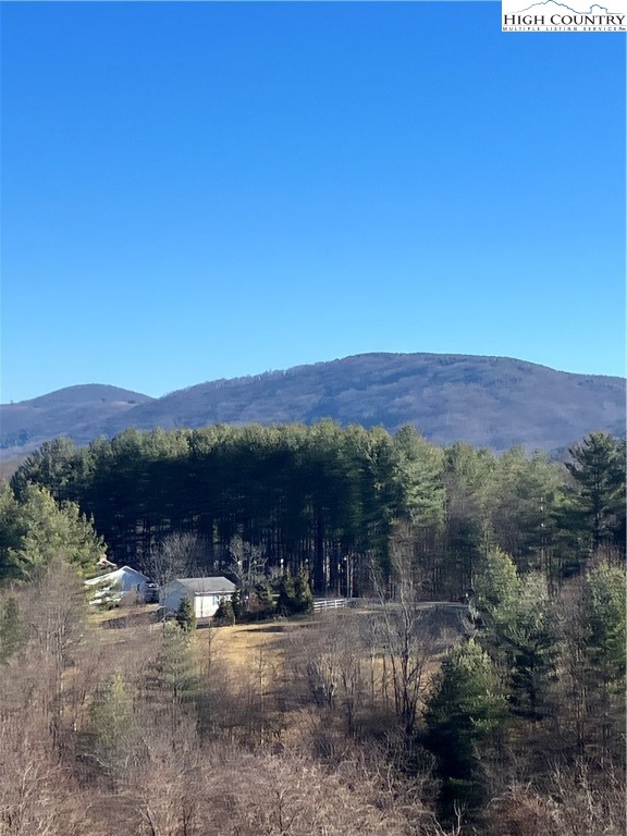 Buckeye Ridge Sparta, NC 28675 - Photo 6 of 10 a view of a back yard