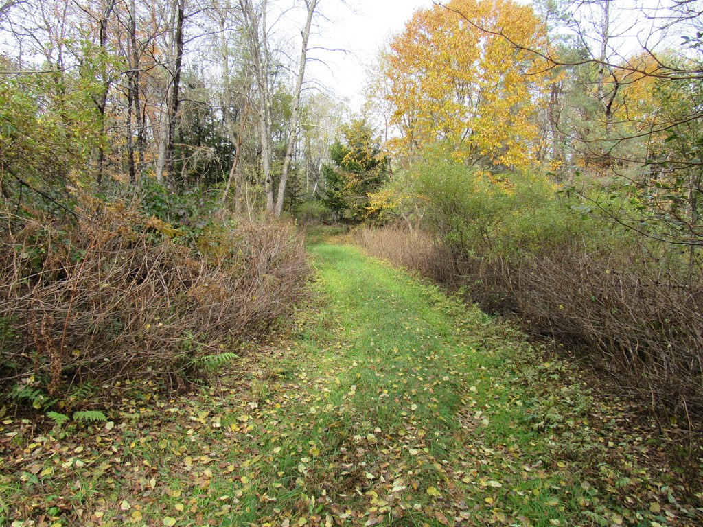 0 McKeever Road Forestport, NY 13338 - Photo 17 of 20 Gallery Image 17