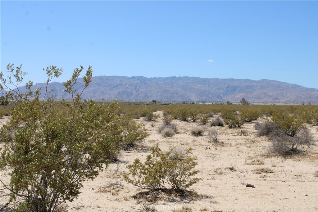 29 Morongo Road Twentynine Palms, CA 92277 - Photo 7 of 21