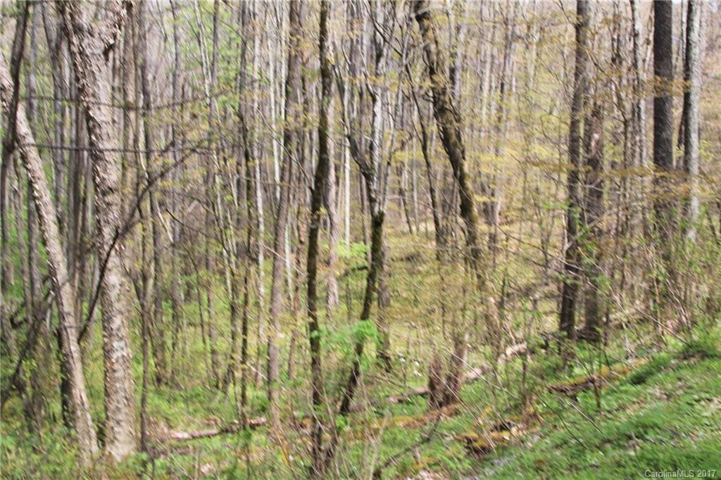0 Big Spring Trail, Unit 61 Cherokee, NC 28719 - Photo 12 of 20 a close view of shower tap