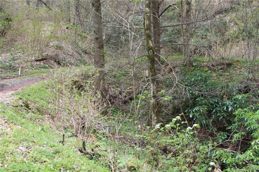 0 Big Spring Trail, Unit 61 Cherokee, NC 28719 - Photo 16 of 20 a view of a forest with a tree