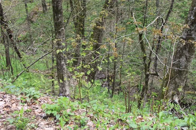 $79,500 | 0 Big Spring Trail, Unit 61, Cherokee, NC 28719