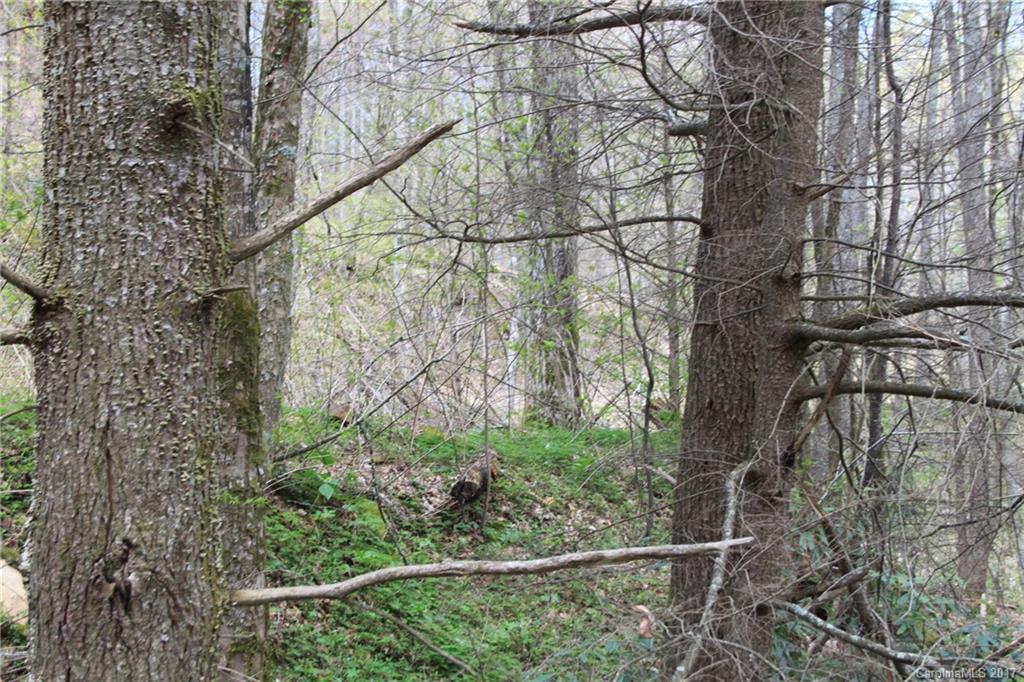 0 Big Spring Trail, Unit 61 Cherokee, NC 28719 - Photo 5 of 20 a view of a yard