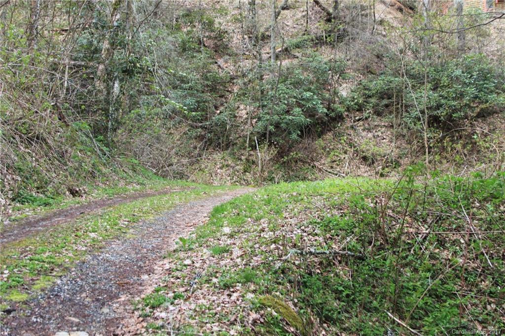 0 Big Spring Trail, Unit 61 Cherokee, NC 28719 - Photo 6 of 20 a view of a yard with plants and a bench