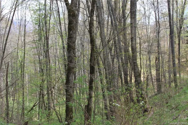 a close view of shower tap
