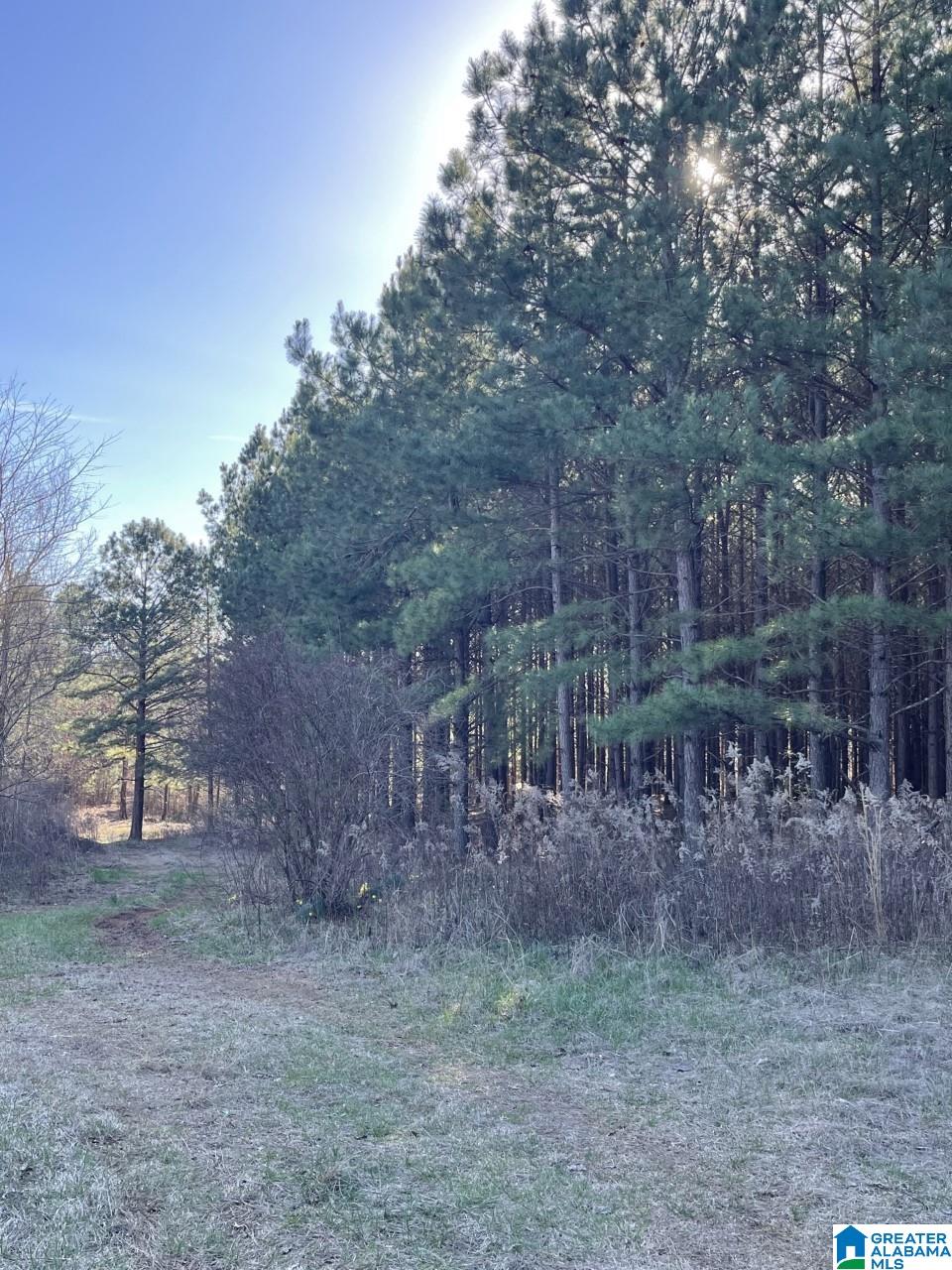 673 County Road, Unit 5 6 Woodland, AL 36280 - Photo 7 of 10