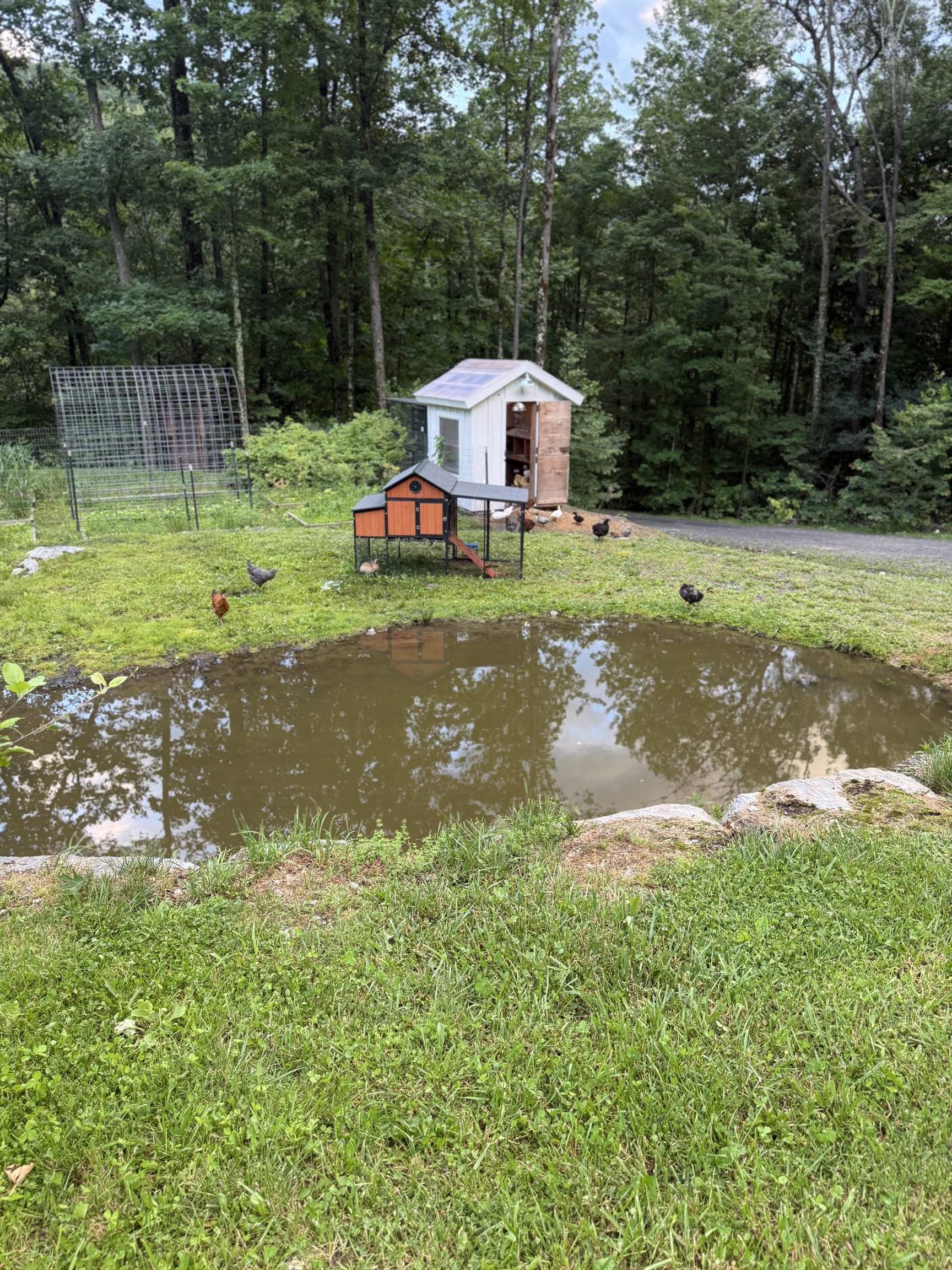 653 Saw Mill Hill Road Wells, VT 05774 - Photo 38 of 40