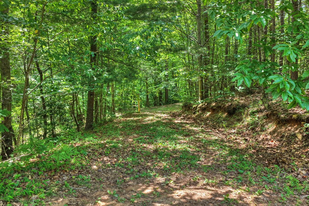 1207 Bullen Gap Road Blue Ridge, GA 30513 - Photo 53 of 61