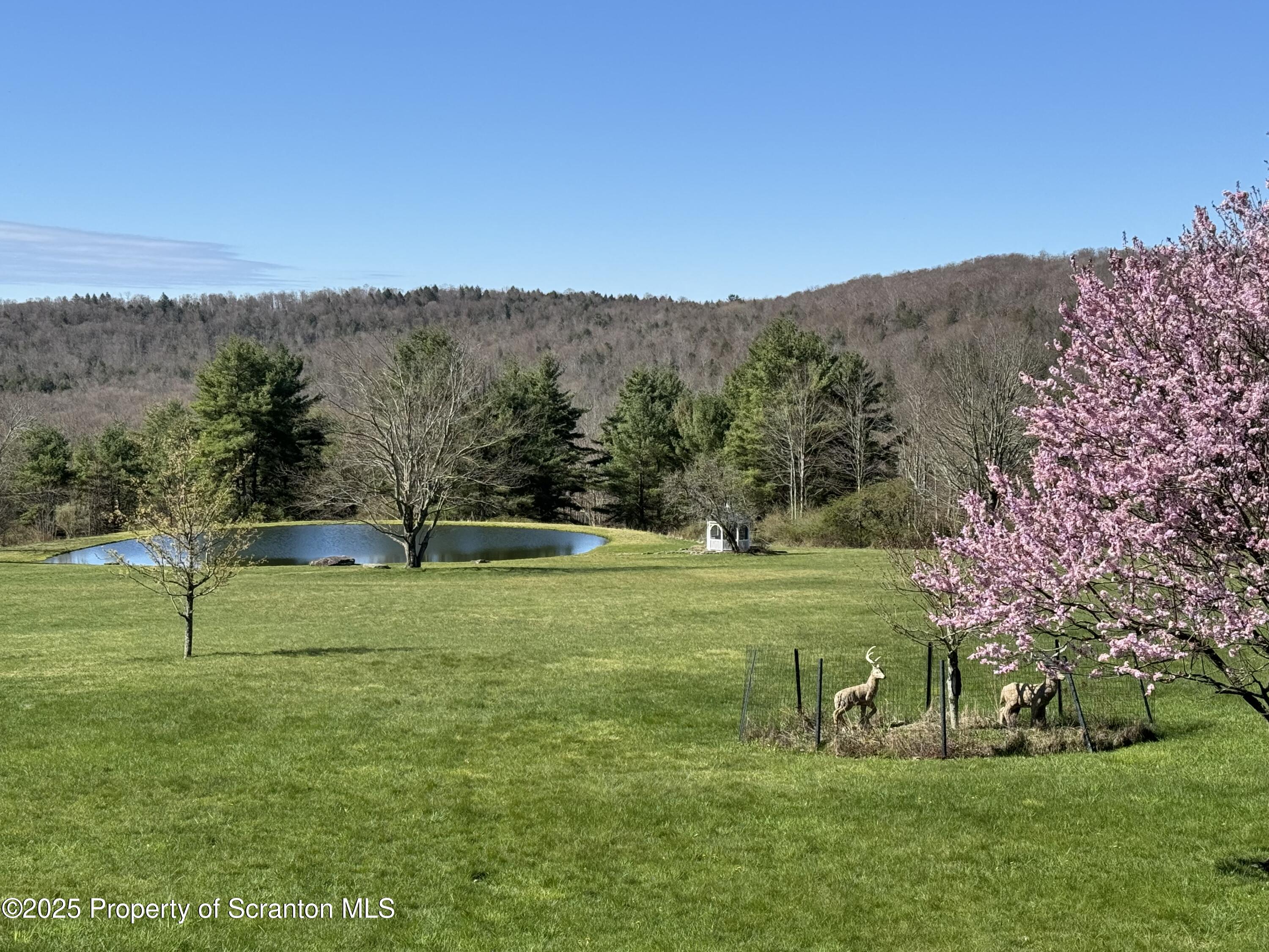 3886 Bow Bridge Road Friendsville, PA 18818 - Photo 12 of 71 a view of grassy field with trees