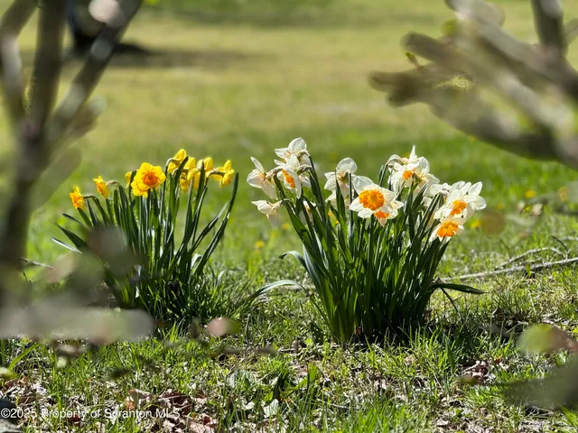 $599,900 | 3886 Bow Bridge Road, Friendsville, PA 18818