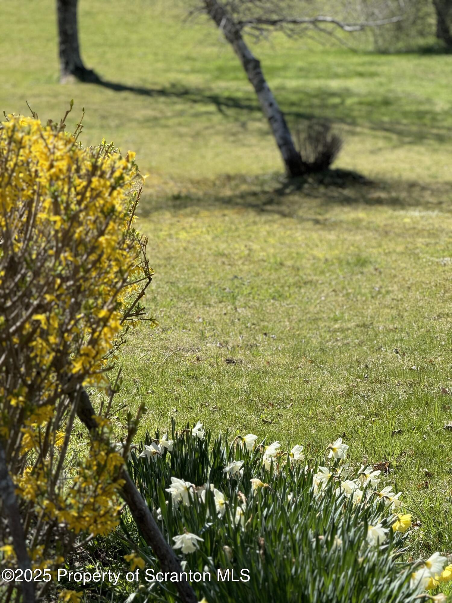 3886 Bow Bridge Road Friendsville, PA 18818 - Photo 65 of 71 landscaped
