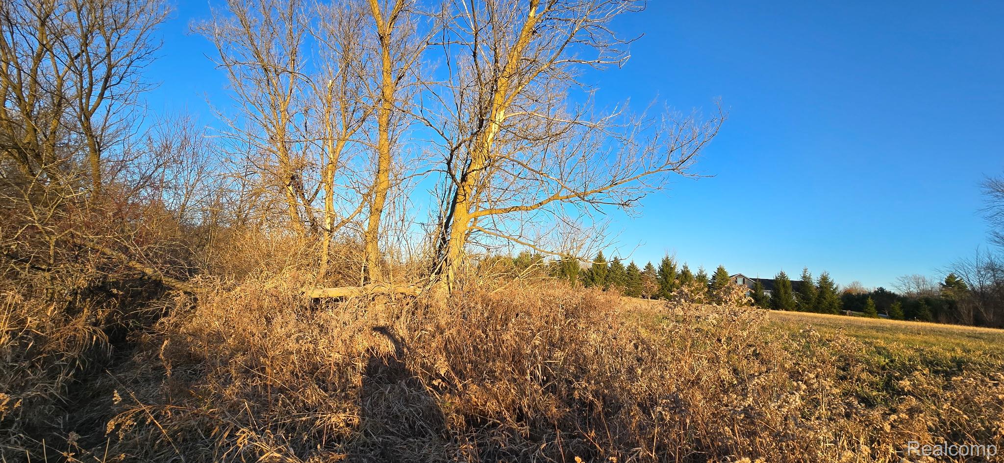 3 Mason Road Webberville, MI 48892 - Photo 14 of 14 Mason Rd 2.JPG