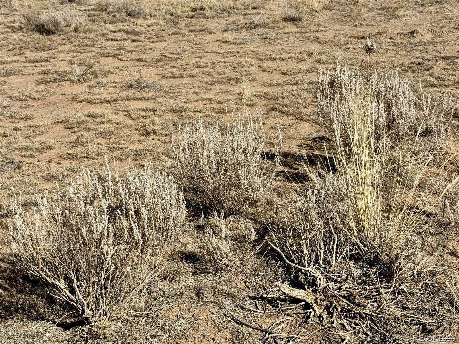 22580 County 3 Road La Jara, CO 81140 - Photo 11 of 18 a view of a pathway