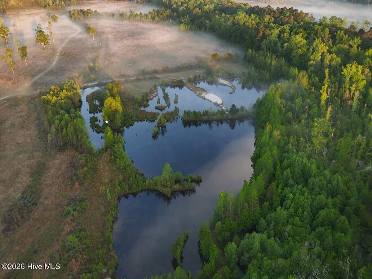 0 Durwood Evans Road Beulaville, NC 28518 - Photo 11 of 68 11. white crane over ponds 1.)
