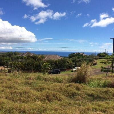 Puu Road Kalaheo, HI 96741 - Photo 1 of 25 a view of a lake with houses in the back
