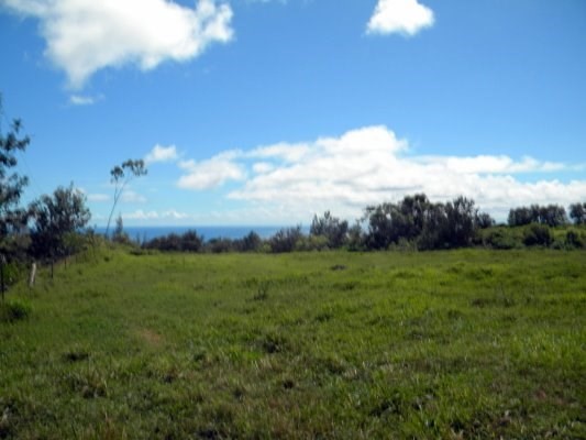Puu Road Kalaheo, HI 96741 - Photo 2 of 25 a view of a big yard with large trees