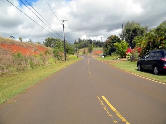 Puu Road Kalaheo, HI 96741 - Photo 3 of 25 a view of a street with a houses