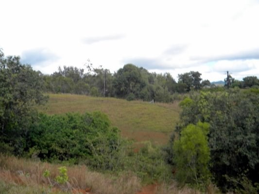 Puu Road Kalaheo, HI 96741 - Photo 5 of 25 a view of a field with trees in the background