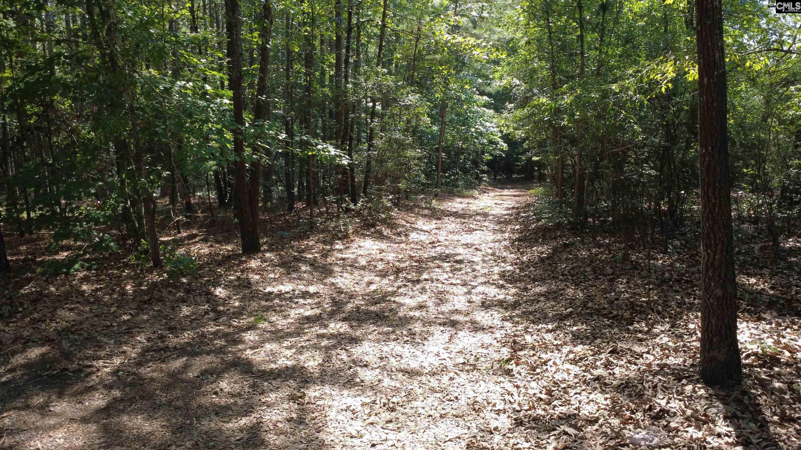 1885 Lake Elliott Road Cassatt, SC 29032 - Photo 28 of 28