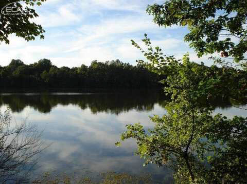 6305 Lucas Road Flint, MI 48506 - Photo 19 of 20 20421711-18.JPG