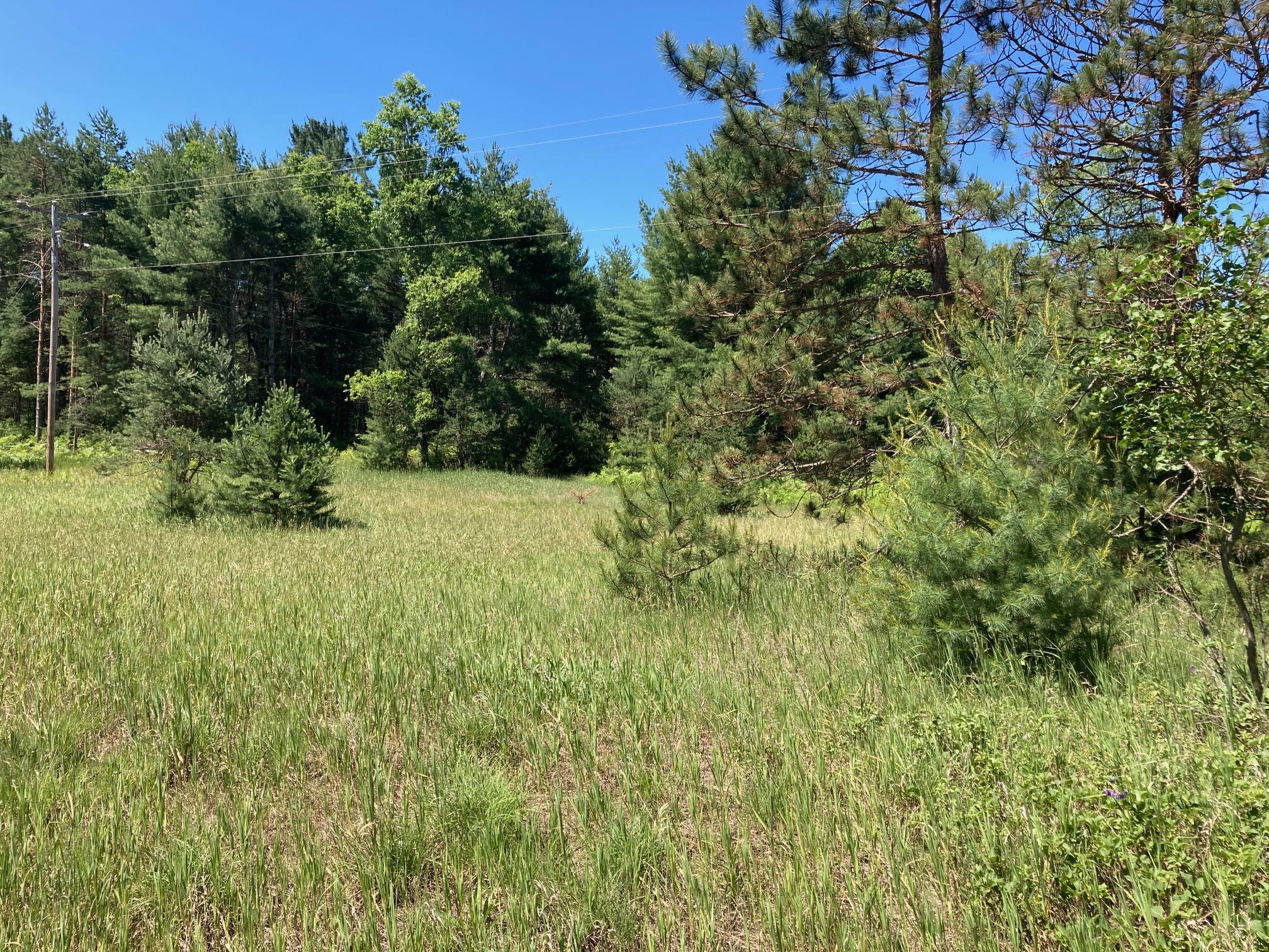 North Skookum Road Luther, MI 49656 - Photo 1 of 5 IMG_2801