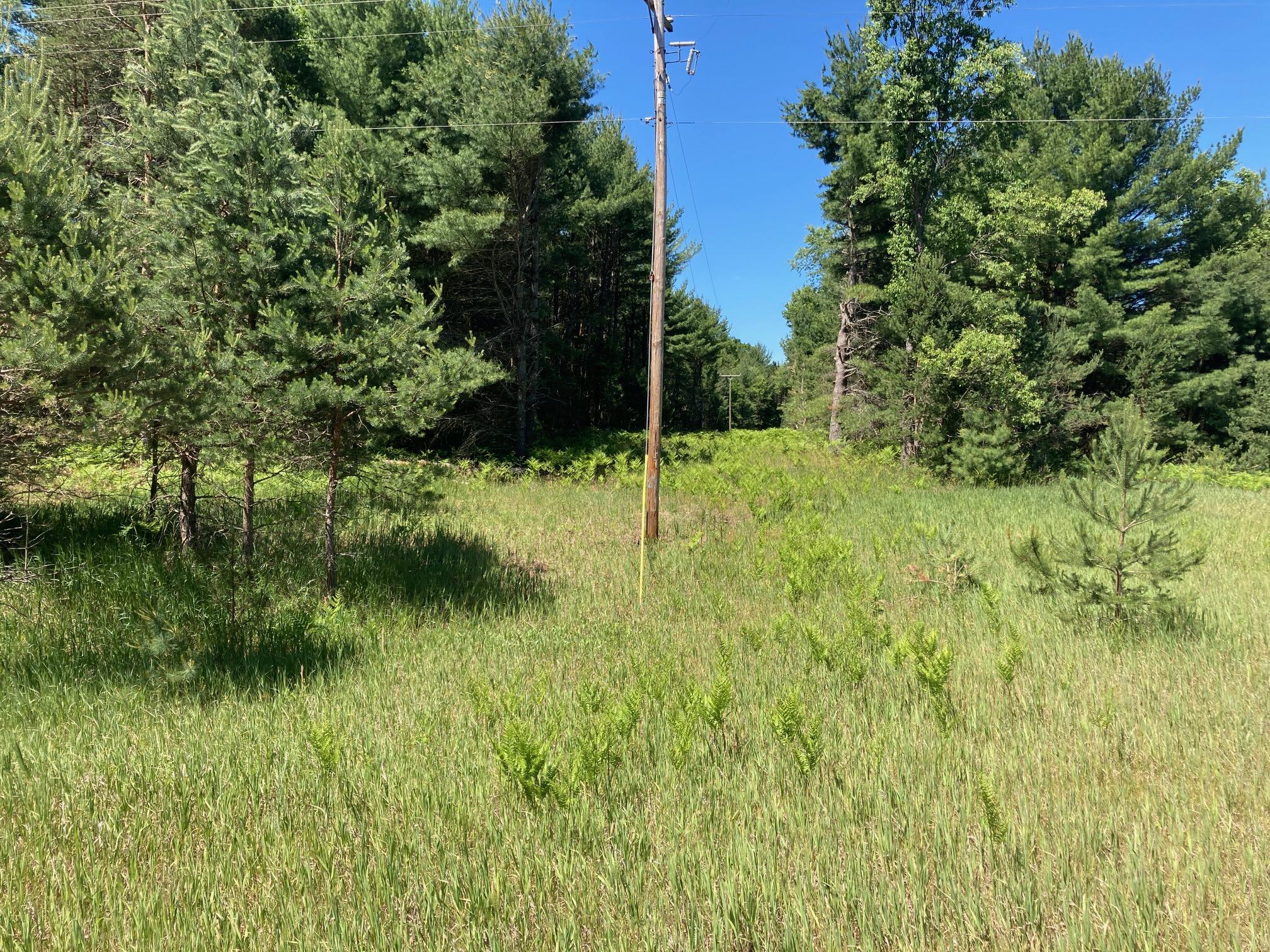 North Skookum Road Luther, MI 49656 - Photo 4 of 5 IMG_2803