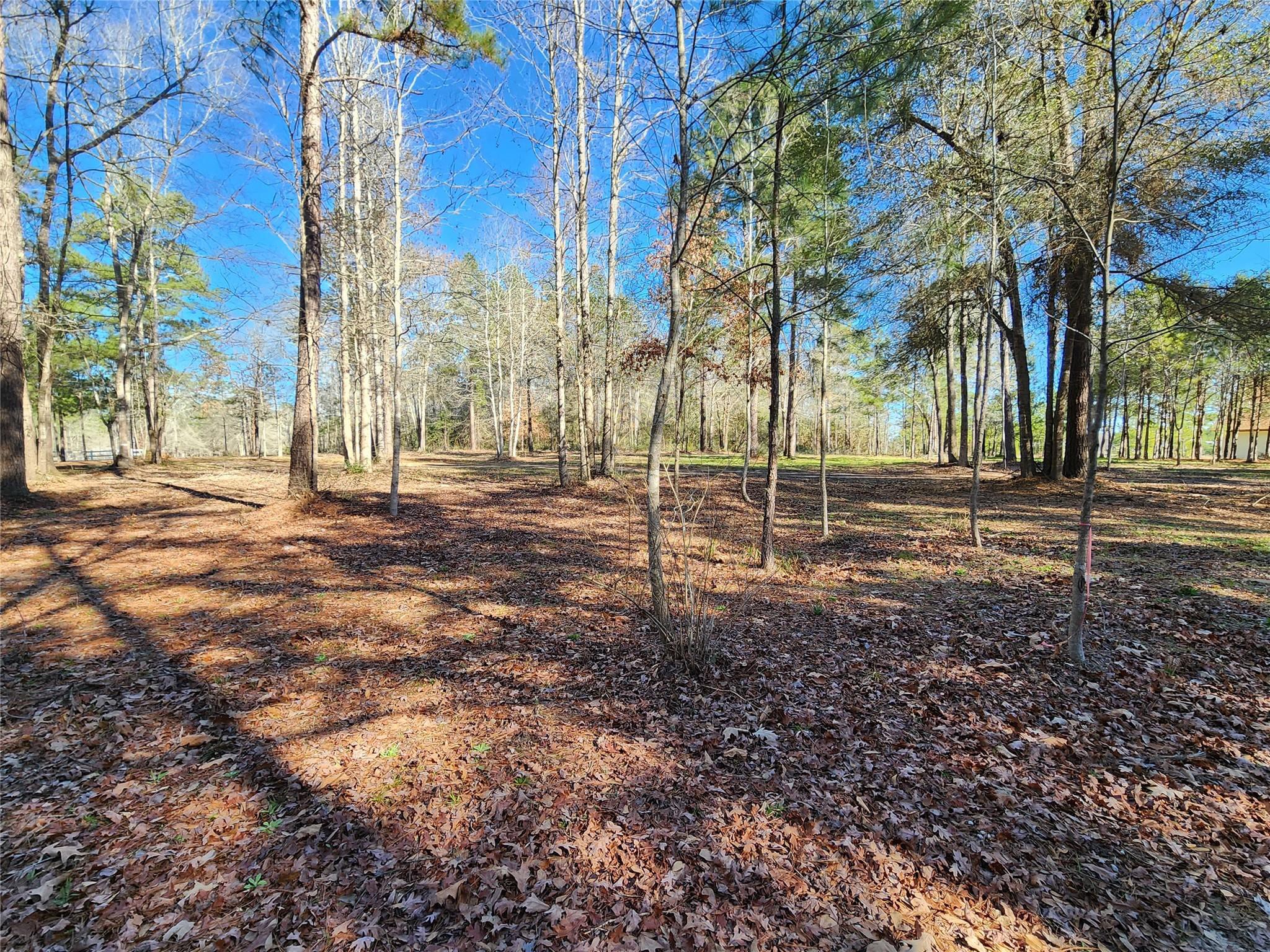 2002 White Doe Court Cleveland, TX 77328 - Photo 37 of 49