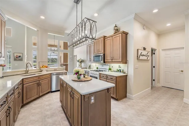 $695,000 | 19119 Mandarin Grove Place, Tampa, FL 33647